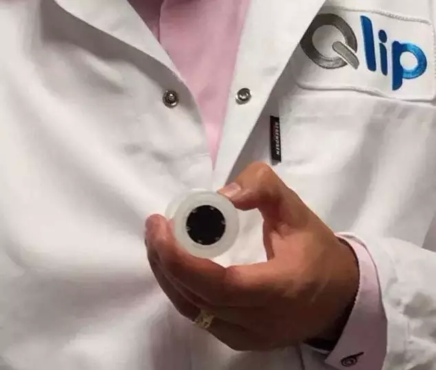 荷兰奶源为什么那么好,乳制品最好的是荷兰吗