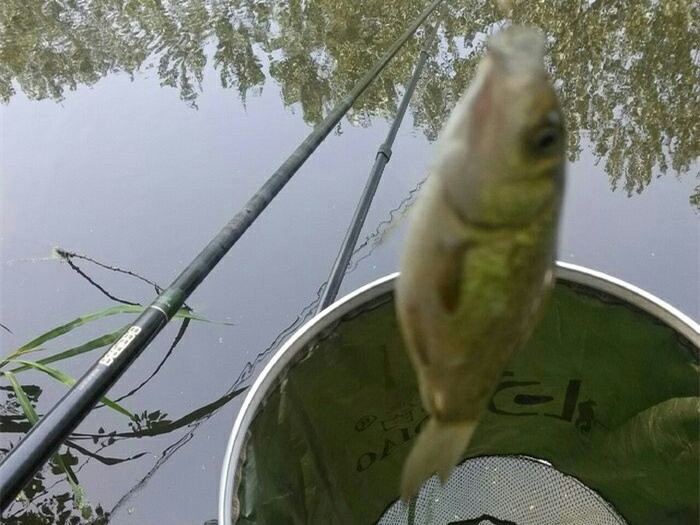 鱼儿并不会因为你用天价鱼竿而青睐于你!