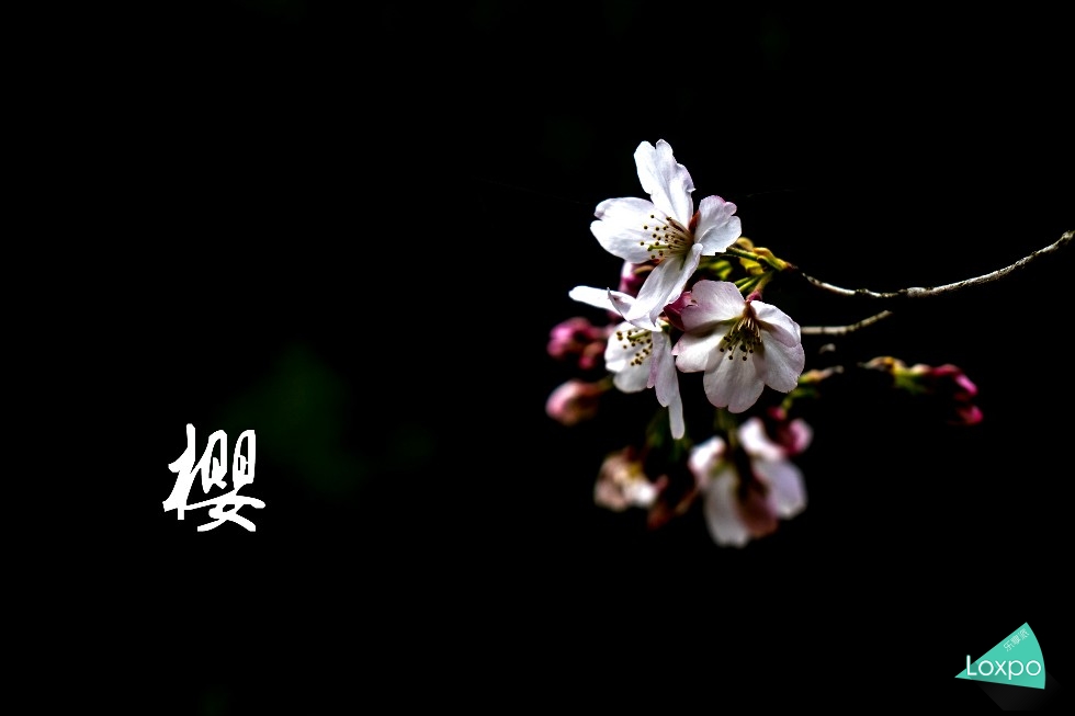 索尼a7详解,无关信仰唯有超越