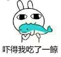 上市船企业绩,公司上市时哭了