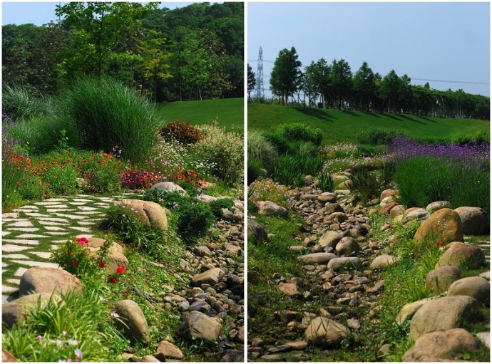 辰山植物园旱溪花境,上海辰山植物园珍稀植物