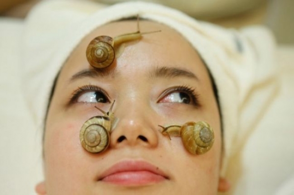 ​天呐，居然有人用蜗牛干这个......爱美人士必看！