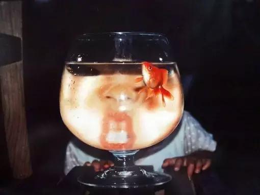 粤语童谣落大雨,粤语童谣鸡公仔