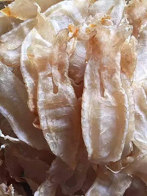 赤嘴鳘野生和养殖的区别,如何辨别野生赤嘴鳘