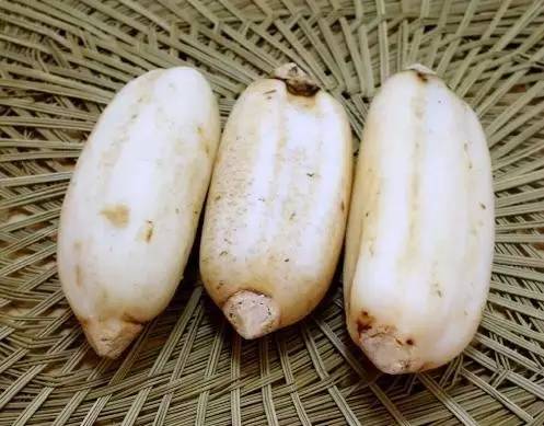 国际公认的5大健脑食物,公认的十大健脑食物排名