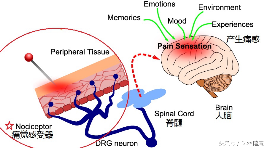 止疼药有忌口吗,止疼药的用药原则