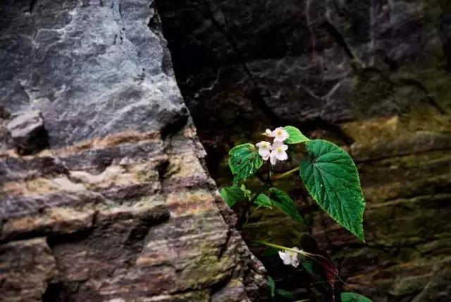 悬泉飞瀑的风景图,悬泉山瀑布在什么地方