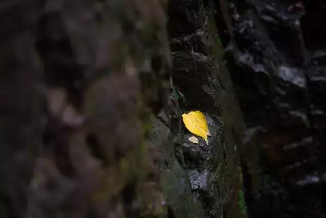 悬泉飞瀑的风景图,悬泉山瀑布在什么地方