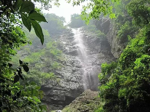 拒绝秋老虎，去武宣寻润燥清心绿世界