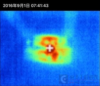 fluke福禄克279fc热成像,fluke279可以和电脑连接么