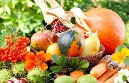 瑜姐来救你：秋天的“乏”如何破