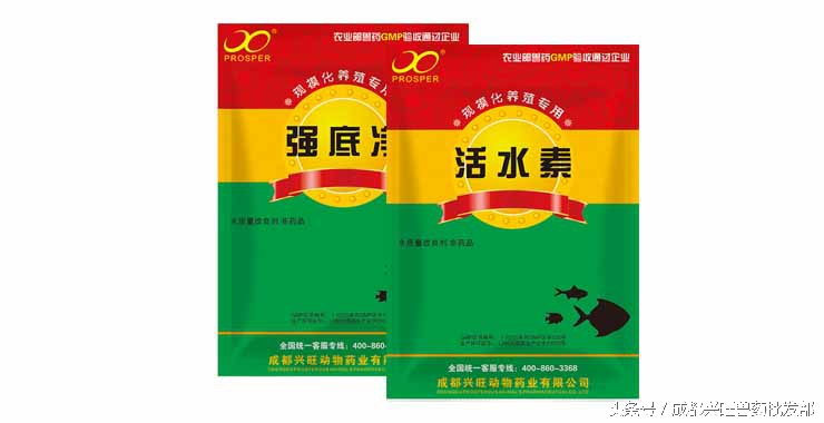 水产养殖鱼肠炎病的治疗方案,水产养殖鱼肠炎