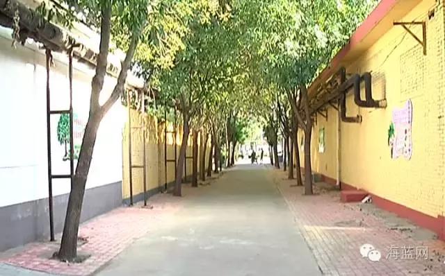 非法小广告整治严管重罚,严厉打击城市小广告