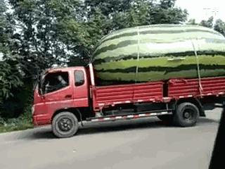 推荐买的渔网袜,渔网袜质量好的