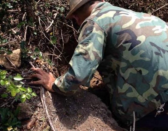 文玩催生的这几个高危职业,以命换钱令人心酸!