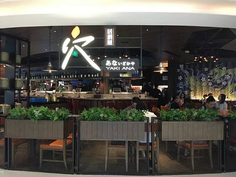 香港|两日一夜,不出沙田到底怎么玩