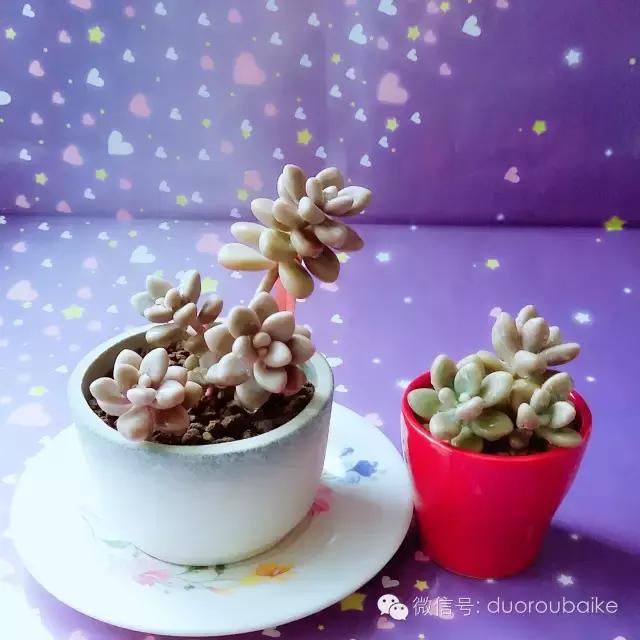 入坑就不能自拔,入坑后无法自拔