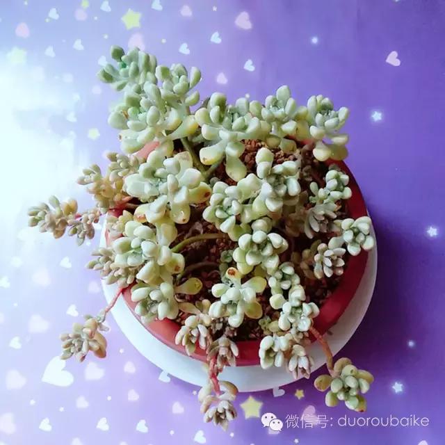 入坑就不能自拔,入坑后无法自拔