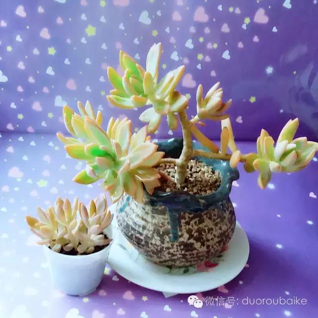 入坑就不能自拔,入坑后无法自拔