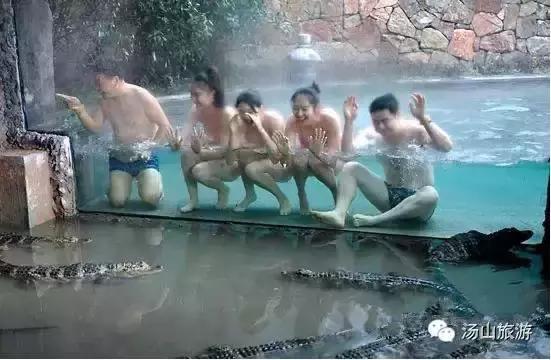 天气这么好，一起来汤山钓鱼、骑马、吃鹿肉、看鳄鱼吧！