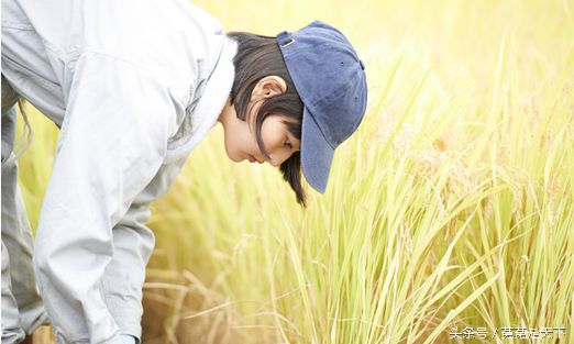 日本岩手县小森林取景地,小森林地方