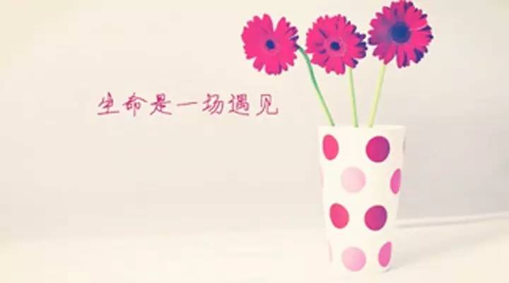 送你一首歌铃声原唱,送你一首歌铃声版