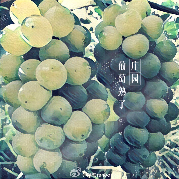 馋嘴之旅|与网红同行醉美云南弥勒红酒庄