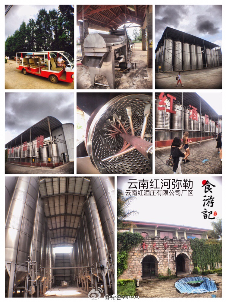 馋嘴之旅|与网红同行醉美云南弥勒红酒庄