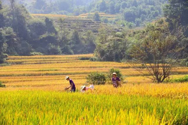秋天到了你想去哪里旅行,佛冈适合雨天游玩的地方