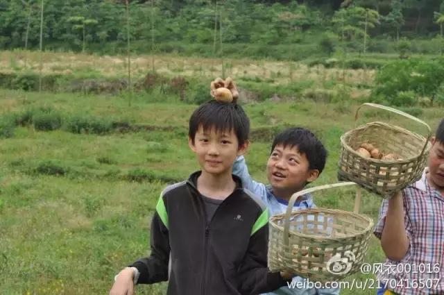 成都大丰幼儿园排名榜,成都幼儿园排名前十名