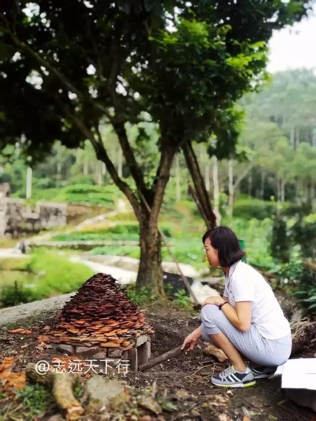 云霄县下河乡七高磜,去云霄不能错过的美食