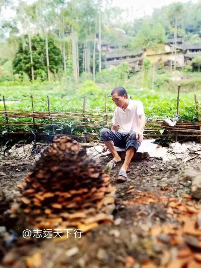 云霄县下河乡七高磜,去云霄不能错过的美食