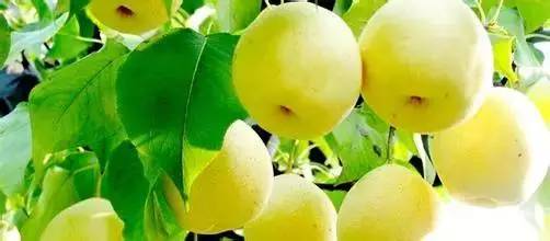 河北这座二线城市，他的名片你请收下！