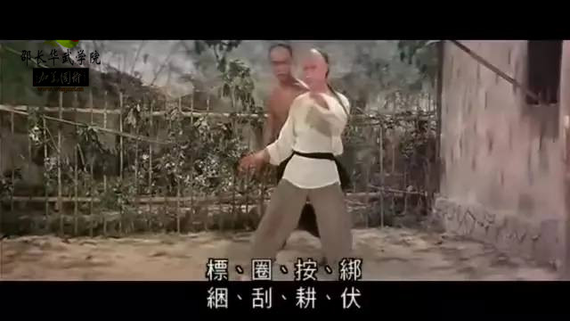 咏春拳败家仔完整视频,败家仔咏春拳口诀