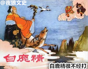 诸神坐骑下凡大比拼，要在凡间混关键还得看背景