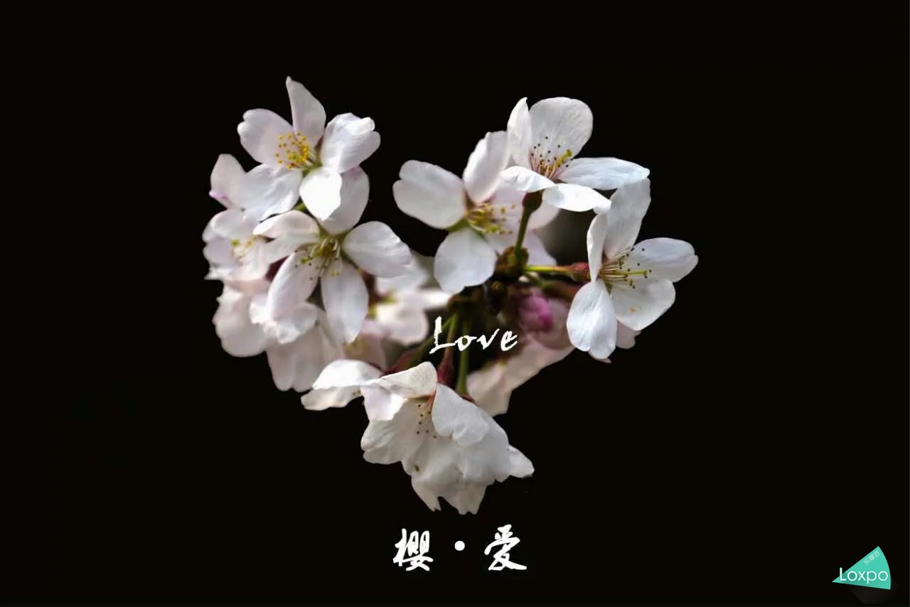 索尼a7详解,无关信仰唯有超越