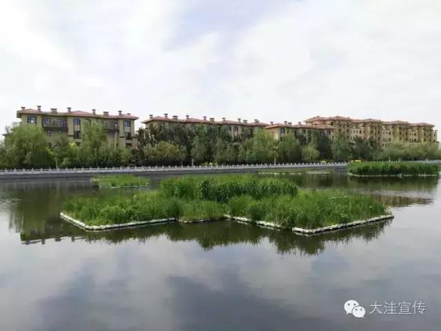 盘锦市田家街道：“我，就是全域风景”