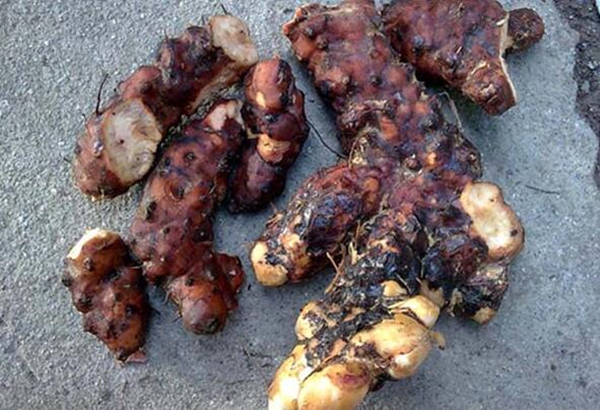 男人不宜吃这三种食谱,中年男士吃的药膳