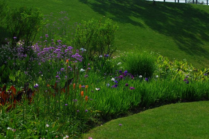 辰山植物园旱溪花境,上海辰山植物园珍稀植物