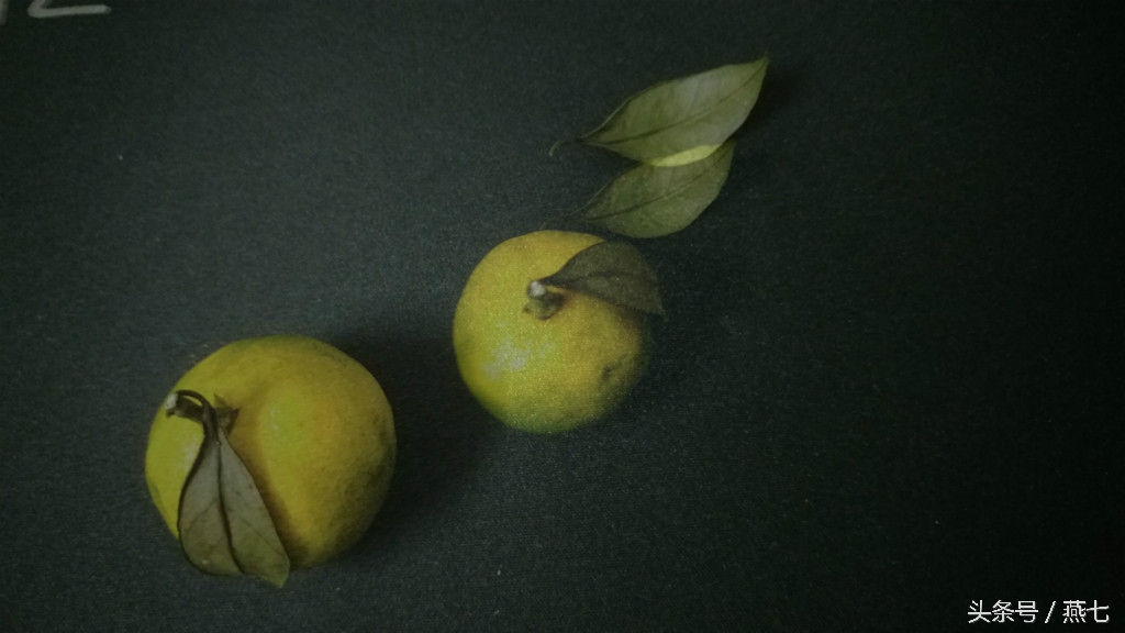 中兴天机7最新系统版本,中兴天机7手机