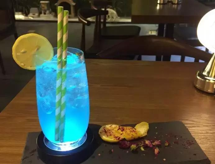 猫咪咖啡馆哪家最好,武汉有哪些猫咪咖啡厅