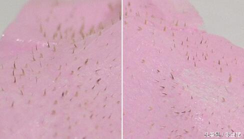 瓷妆化妆品口碑怎么样,中国口碑最好的化妆品推荐