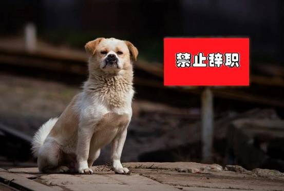 莆田一个月工资6000现在怎么样了,莆田工资2019年