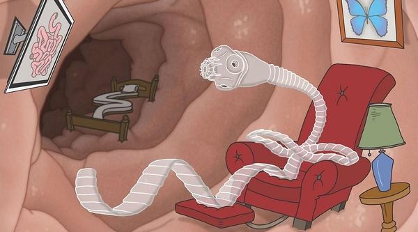 经常吃生鱼片应该吃点啥药,吃生鱼片有什么好处和坏处