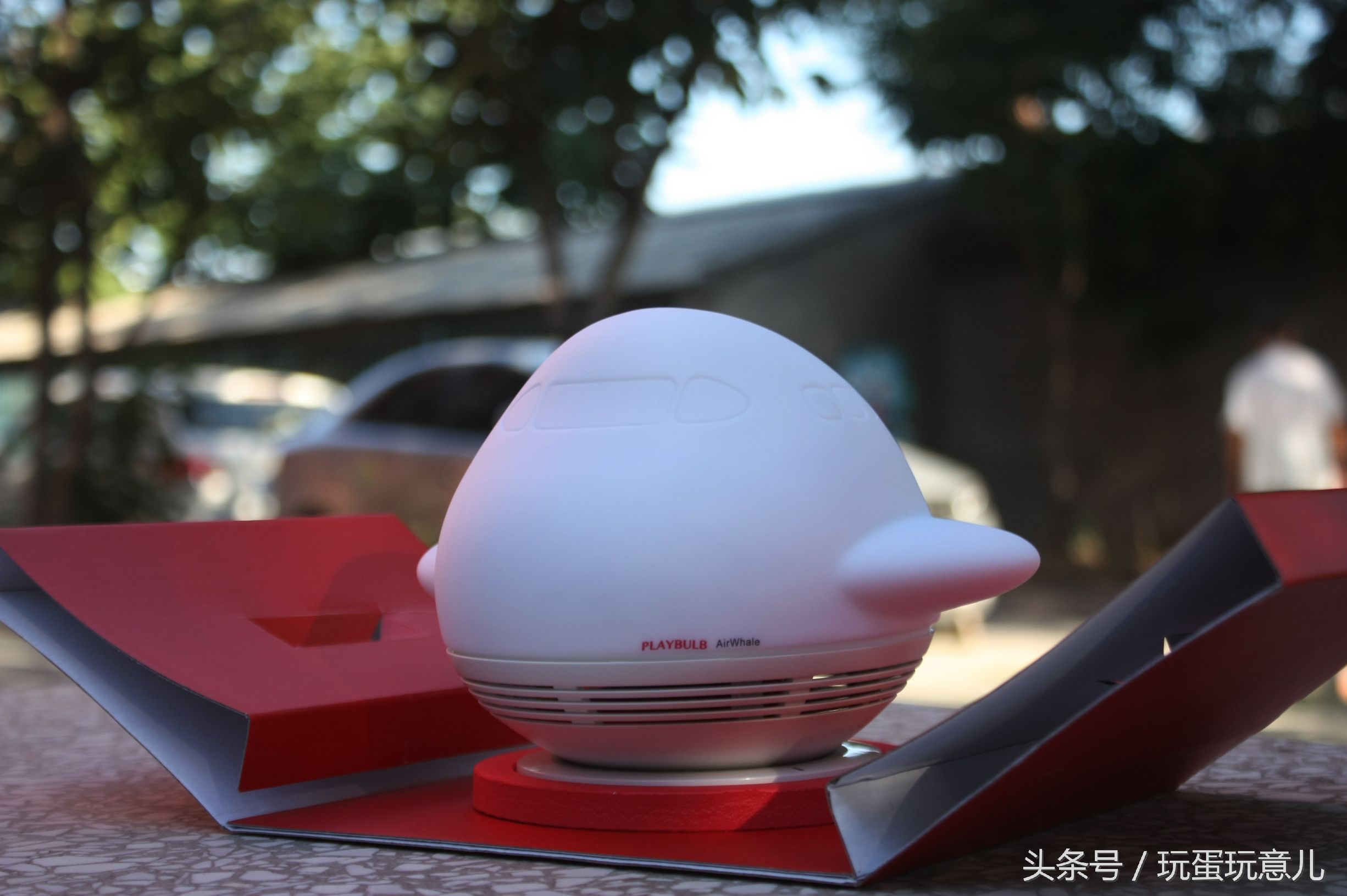 照星爷的话讲，想撩妹吗我教你！AirWhale智能音响灯体验