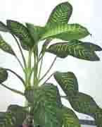 怎样知道自己家的财位在哪个位置,如何确定家里的财位在哪个位置