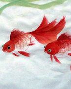 怎样知道自己家的财位在哪个位置,如何确定家里的财位在哪个位置