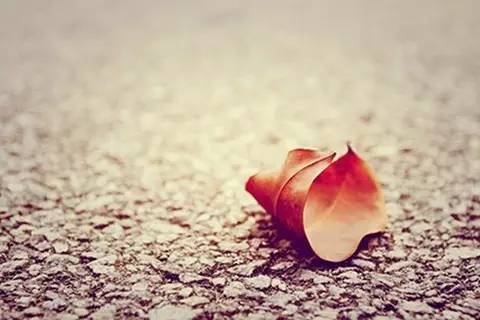 剁手也要配齐的化妆品,韩妆学生党必备推荐