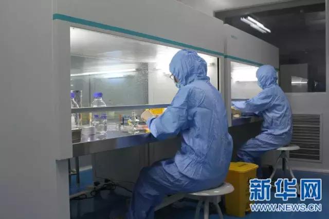 西博会签约成功项目,西博会总结