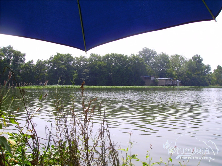 民间特色钓法,径河野钓地点
